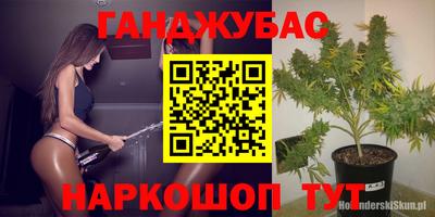 прущие крисы Гагарин