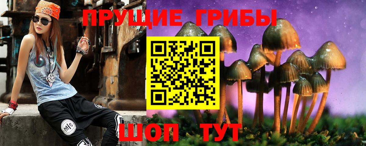 Димитровград  Псилоцибиновые грибы мухоморы  Вход с VPN 